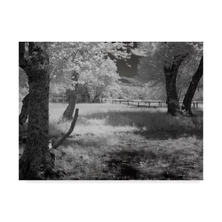 Trademark Fine Art J.D. Mcfarlan 'Smokies Ir 1' Canvas Art, 35x47 ALI37109-C3547GG